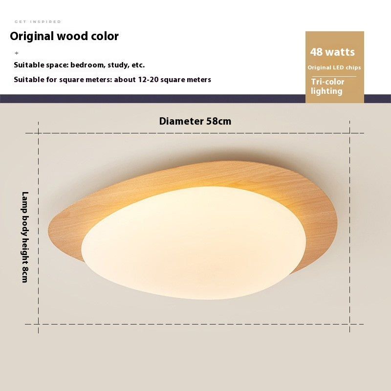 New Chinese Master Bedroom Iron Eye Protection Ceiling Lamp