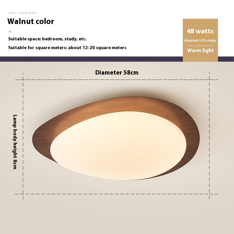 New Chinese Master Bedroom Iron Eye Protection Ceiling Lamp