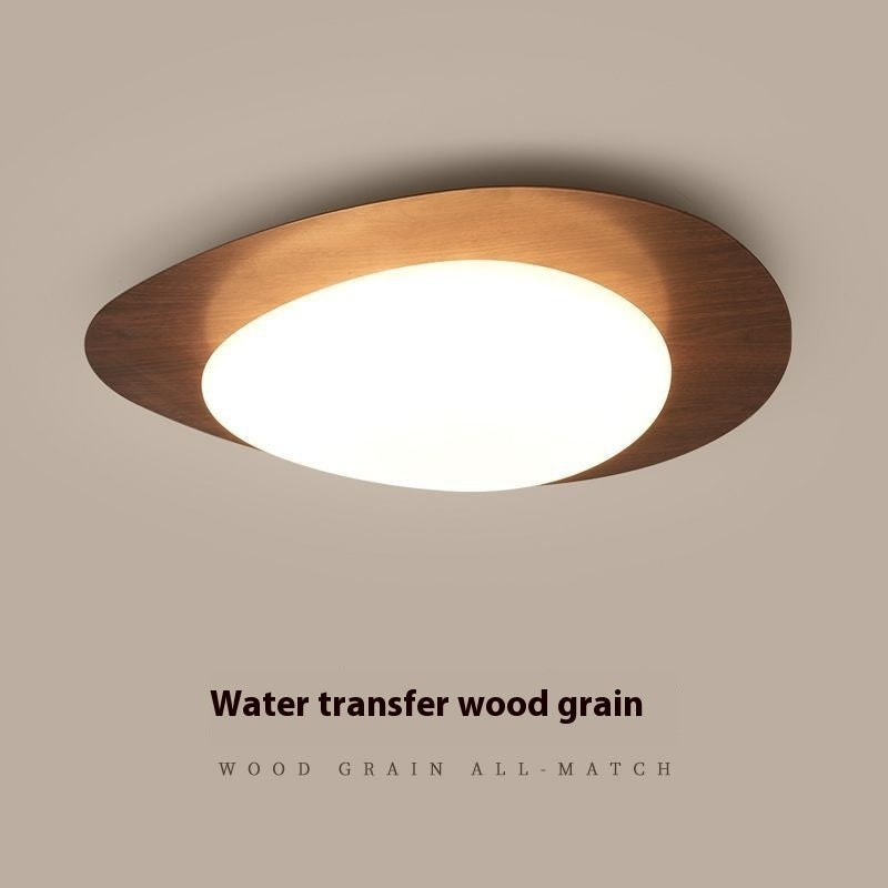 New Chinese Master Bedroom Iron Eye Protection Ceiling Lamp