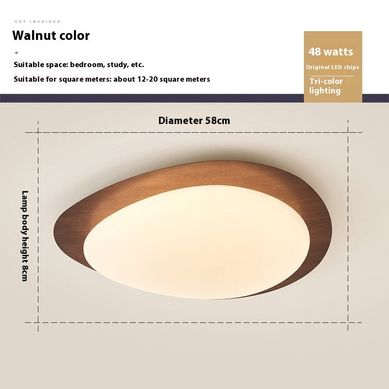 New Chinese Master Bedroom Iron Eye Protection Ceiling Lamp
