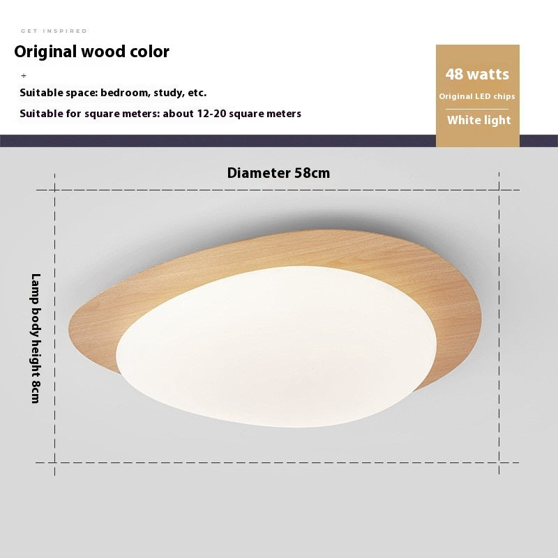 New Chinese Master Bedroom Iron Eye Protection Ceiling Lamp