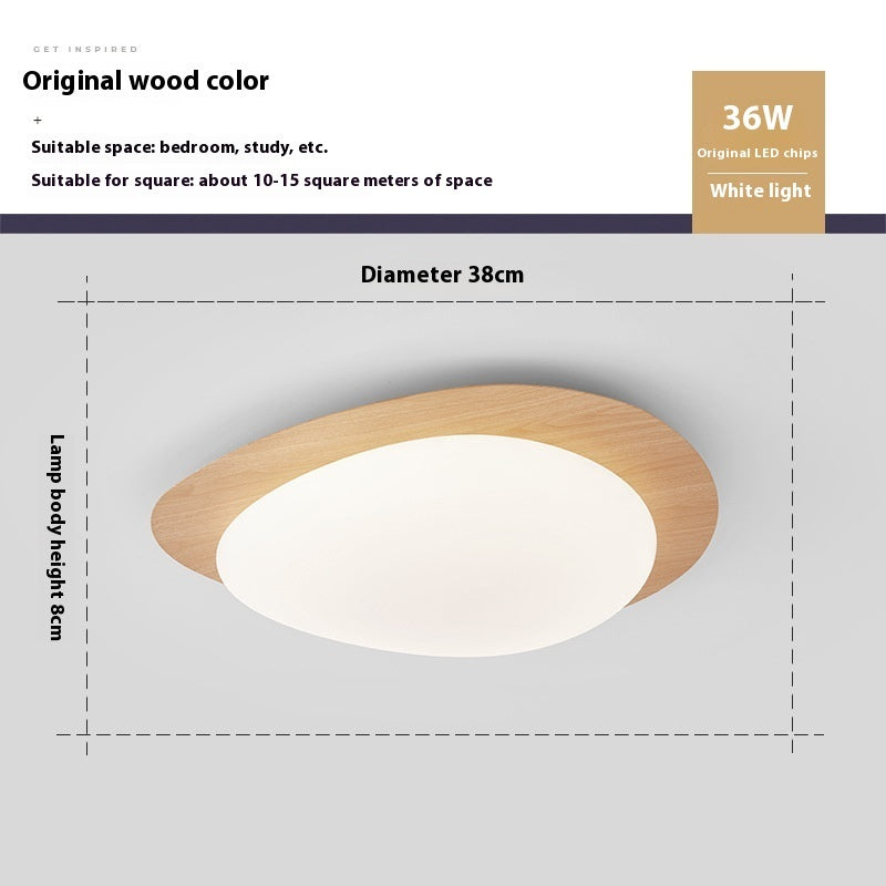 New Chinese Master Bedroom Iron Eye Protection Ceiling Lamp